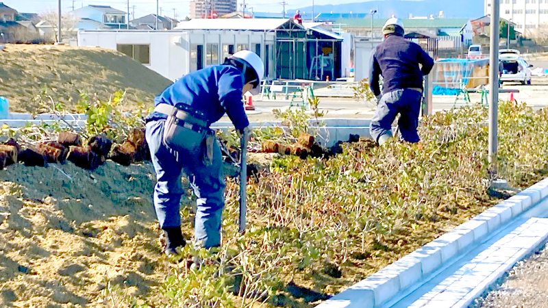 愛知県あま市新庁舎 整備工事