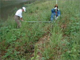 馬洗川人口ワンド水辺植栽実験（３）