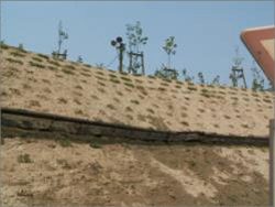 大同特殊鋼知多工場　森づくり工事