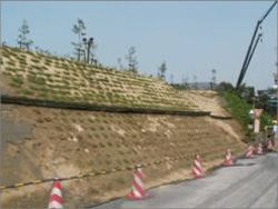 大同特殊鋼知多工場　森づくり工事