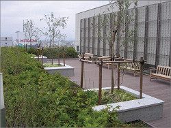 壁面・特殊緑化大賞 環境大臣賞を受賞しました