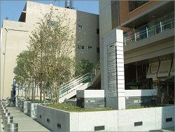 壁面・特殊緑化大賞 環境大臣賞を受賞しました