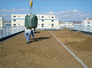 工場屋上緑化