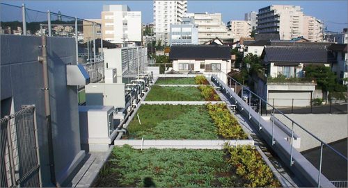 緑あふれる屋上で新しい校舎が輝いてみえます（１）の画像