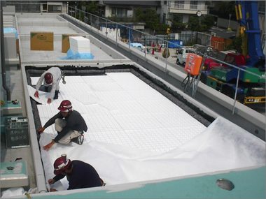 緑あふれる屋上で新しい校舎が輝いてみえます（１）