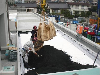 緑あふれる屋上で新しい校舎が輝いてみえます（１）