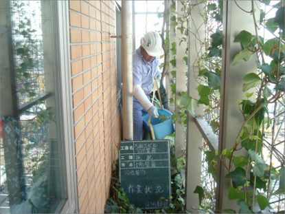 壁面・特殊緑化大賞 環境大臣賞を受賞しました