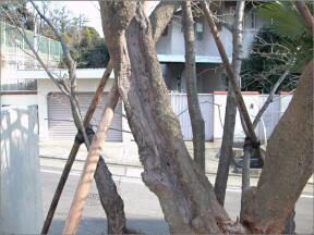 パークハウス楽園町 修景工事