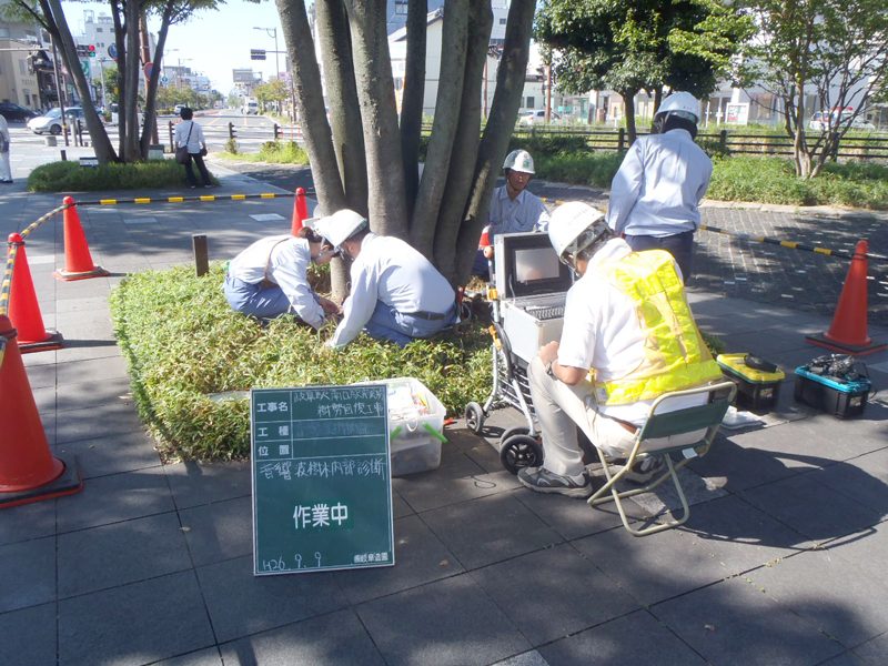樹木内部診断システムで樹木の腐朽状態を調べるの画像