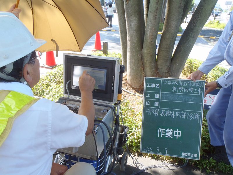 樹木内部診断システムで樹木の腐朽状態を調べる