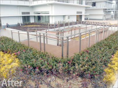 ｢パパット｣施工が出来る屋上庭園