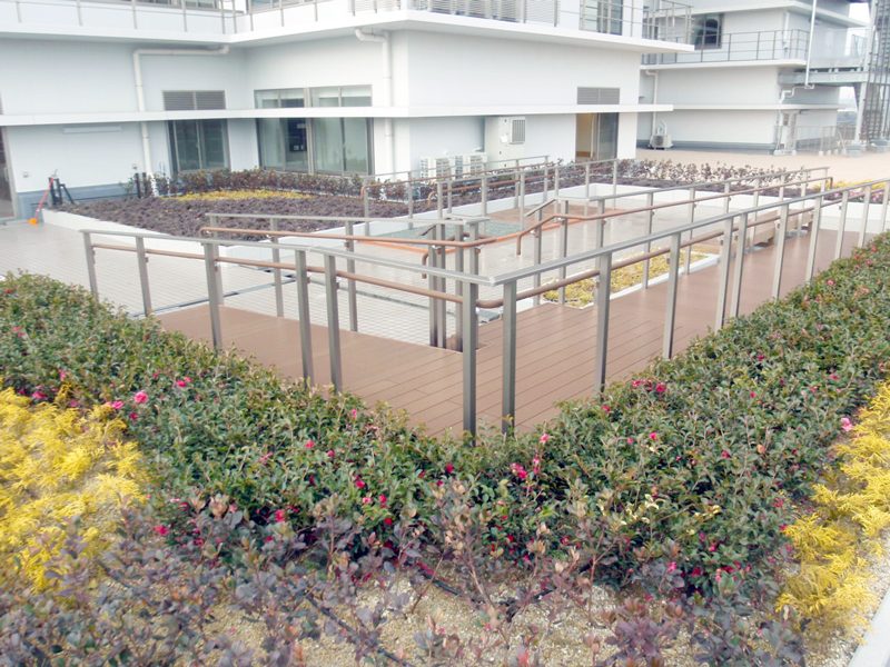｢パパット｣施工が出来る屋上庭園の画像
