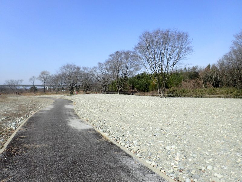 国土交通省・木曽川上流河川事務局長表彰を受賞しました