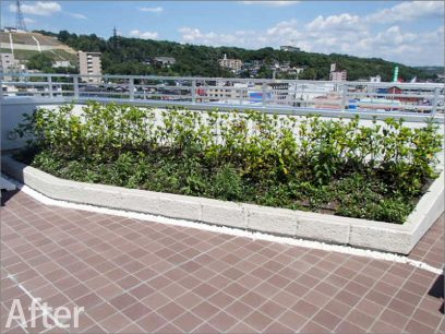 新オフィスの屋上緑化と外構の緑化工事
