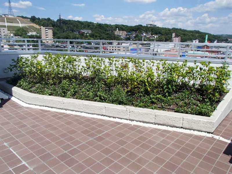 新オフィスの屋上緑化と外構の緑化工事の画像