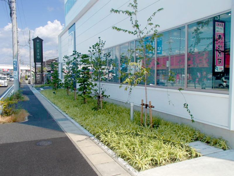 新オフィスの屋上緑化と外構の緑化工事