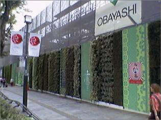 樹木医カトちゃんの｢東京｣見て歩き
