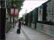 樹木医カトちゃんの｢東京｣見て歩き