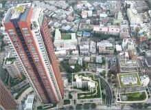 樹木医カトちゃんの｢東京｣見て歩き
