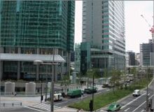 樹木医カトちゃんの｢東京｣見て歩き