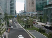 樹木医カトちゃんの｢東京｣見て歩き