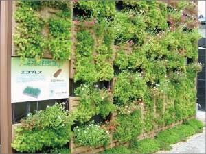 永田カメラマンの「浜名湖花博｣
