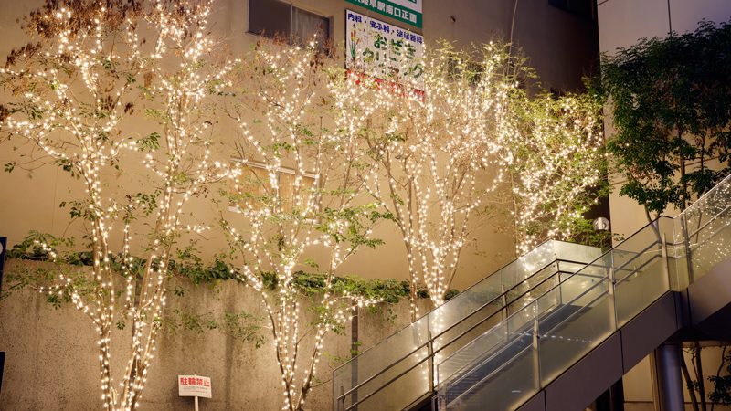 駅とまちを光でつなぐ杜のイルミネーション