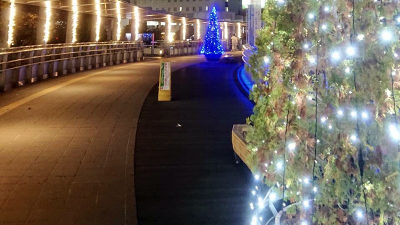 駅とまちを光でつなぐ杜のイルミネーション