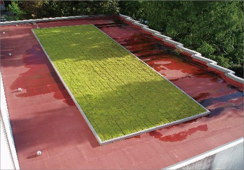 岐阜大学校舎屋上緑化による省エネ効果の結果についての画像
