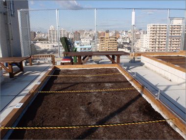マンション屋上につくったリース菜園の画像
